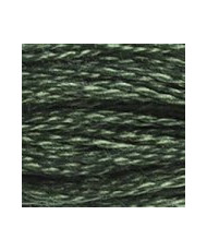 520 DMC Mouline Stranded cotton Dark Fern Green