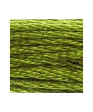 581 DMC Mouline Stranded cotton Moss Green