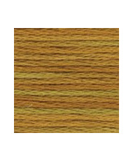 4129 DMC Color Variations Peanut Brittle