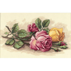Counted Cross Stitch Kit Rose Cuttings, Dimensions 13720