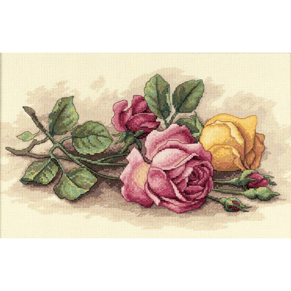 Counted Cross Stitch Kit Rose Cuttings, Dimensions 13720