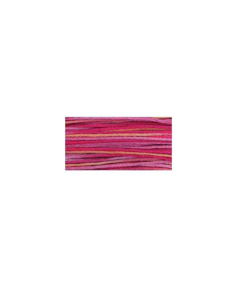 Weeks Dye Works, 6-Strand Floss, Azaleas, 5 yds, ODF 4145