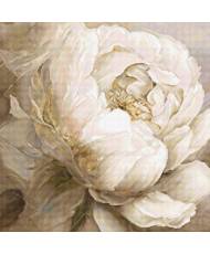 Counted Cross Stitch Kit, White Peony,  LETISTITCH L8083